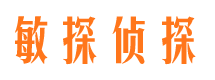 大丰捉小三公司